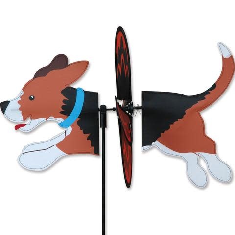Petite Spinner-Beagle