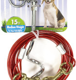FOUR PAWS WALK-ABOUT COMBO STAKE W/15'CABLE