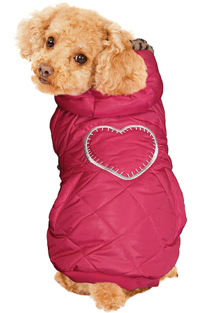 canines coat
