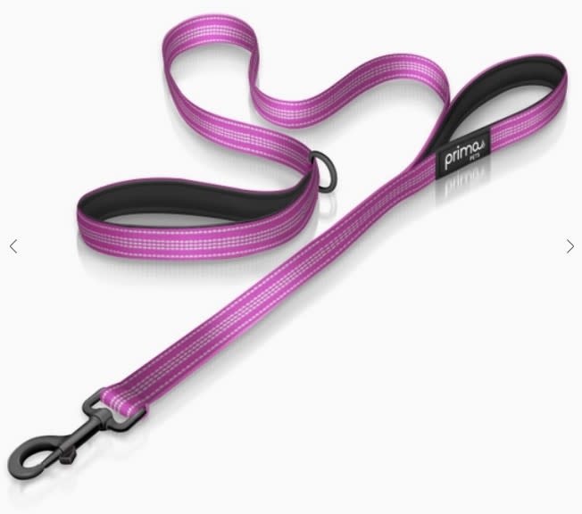 Prima 1" - 6 ft 2 Handle Leash, Purple