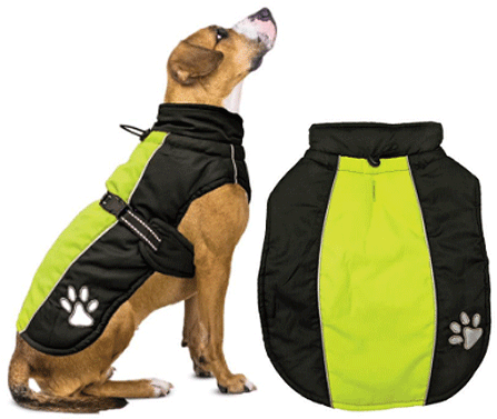 XS - FASHION PET Sporty Jacket Black/Green