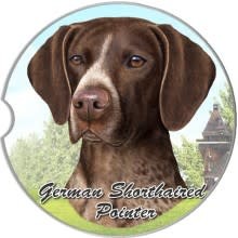 Absorbent Car Coaster German Short Hair Pointer Captivating