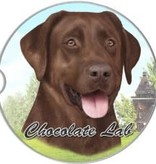 Absorbent Car Coaster - Labrador, Chocolate