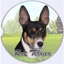 Absorbent Car Coaster - Rat Terrier
