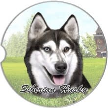 Absorbent Car Coaster - Siberian Husky