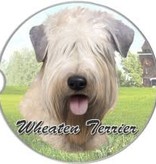 Absorbent Car Coaster - Soft Coat Wheaten Terrier