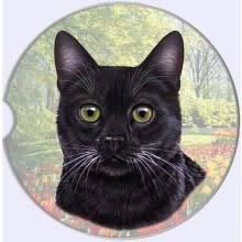 Absorbent Car Coaster - Black Cat