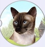 Absorbent Car Coaster - Siamese Cat