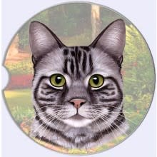 Absorbent Car Coaster - Silver Tabby Cat