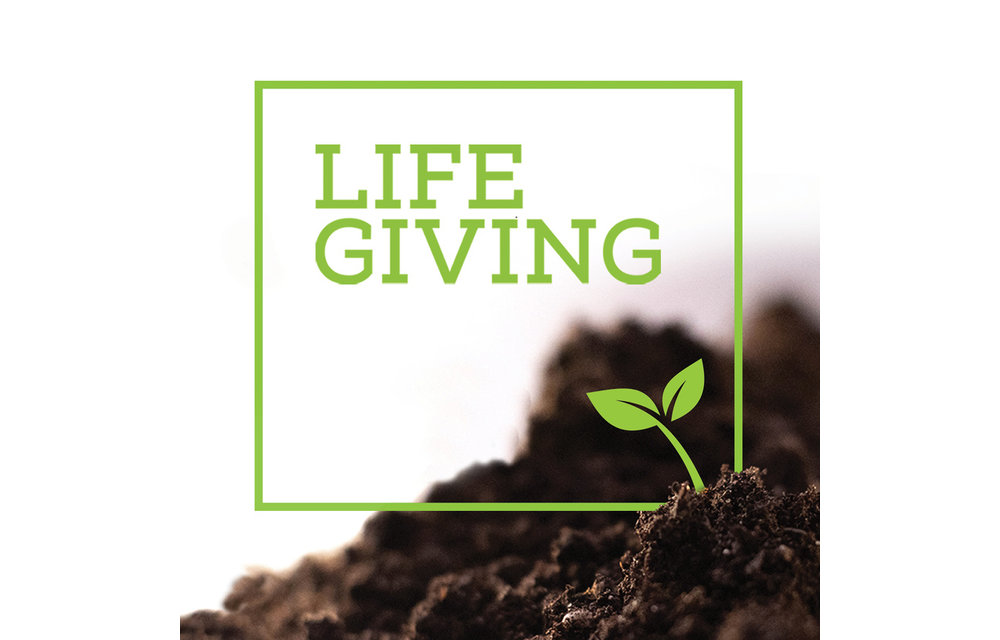 Life Giving Series DVDS