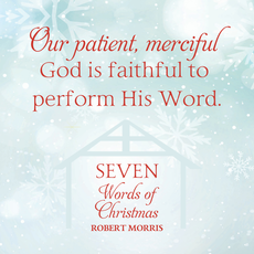 Seven Words of Christmas