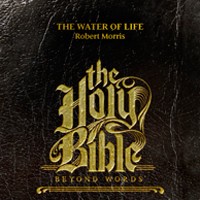 Holy Bible: Beyond Words DVDS