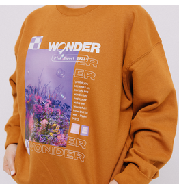 Pullover - Wonder BRN