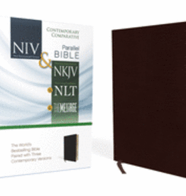 Parallel Bible - NIV-NKJ-NLT-MSG