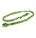 Perception Paddle & Rod Leash (green perception)