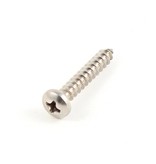 Screw 8 x1" PHSMS-P SS