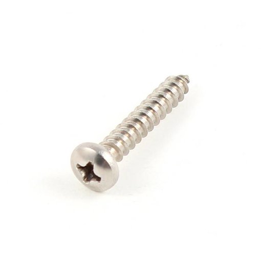 Screw 8 x1" PHSMS-P SS