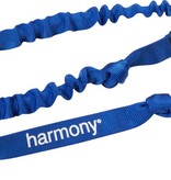 Harmony Paddle Leash Blue