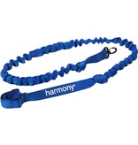 Harmony Paddle Leash Blue