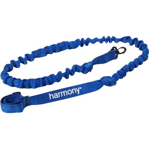 Harmony Paddle Leash (blue harmony)