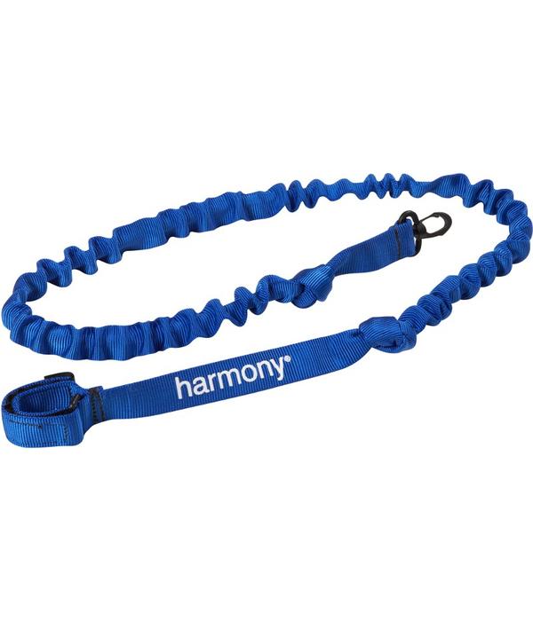 Harmony Paddle Leash Blue