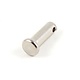 Clevis Pin 1/4" x .578" Grip