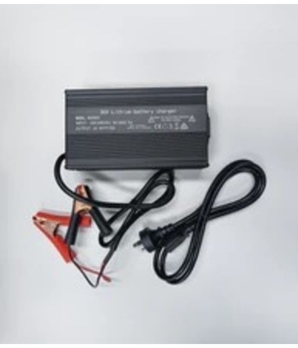 FPV-Power 36V 20Ah Charger LiFePO4