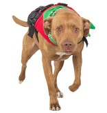 NRS Watersports (Discontinued) CFD Dog Life Jacket