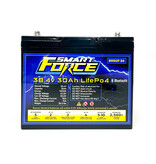Smart Force 38V 30Ah LifePO4 Battery With Bluetooth
