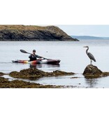 Wilderness Systems (Prior Year Model - Cosmetically Blemished) 2024 Tsunami 140