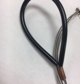 (Closeout) Bridle Tiger