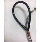 (Closeout) Bridle Tiger
