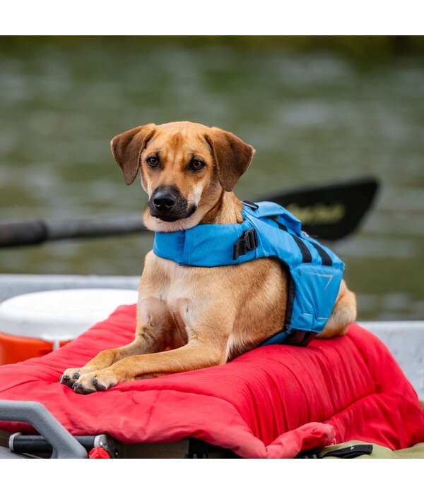 NRS Watersports CFD Dog Life Jacket