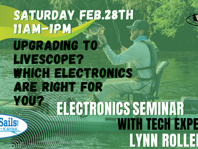 Lynn Roller is Back! Fish Finer Clinic - All you need to know