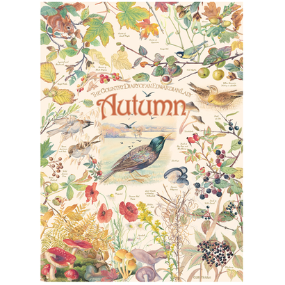 Cobble Hill Puzzles Cobble Hill Country Diary Autumn Puzzle 1000pcs