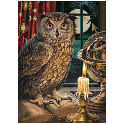 Cobble Hill Puzzles Cobble Hill The Astrologer Puzzle 1000pcs