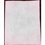 Lindhaus Lindhaus Upright Exhaust Vacuum Filter - Single