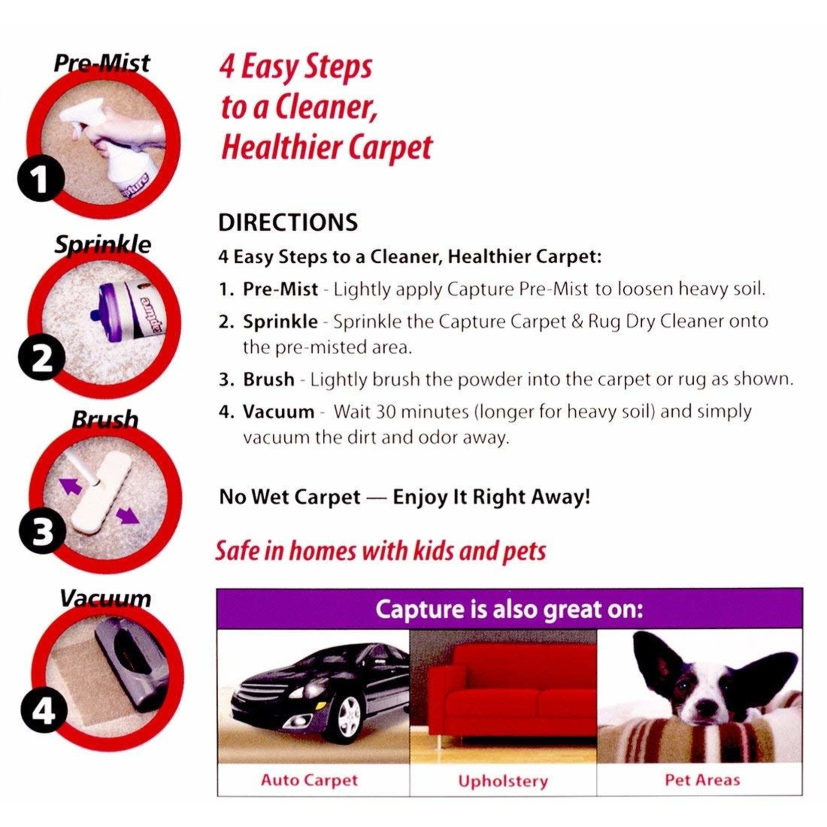 Riccar Capture Carpet Dry Cleaner Powder with Brush