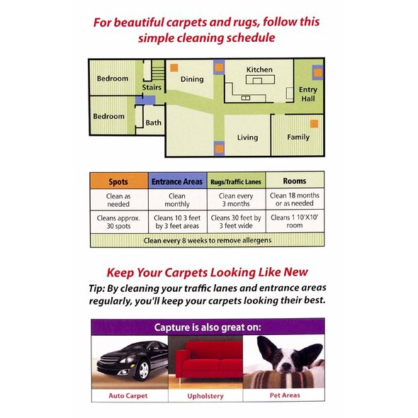 Riccar Capture Carpet Dry Cleaner Powder with Brush