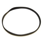 Royal Royal Style "21" Belt - Single