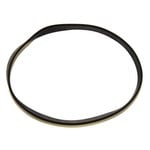 Royal Royal Style "21" Vacuum Belt - Single