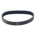 Riccar Riccar RPB-F Powerhead Vacuum Belt