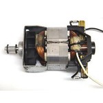 Dyson **NLA** Dyson DC17 Brushroll Motor Assy **NLA**