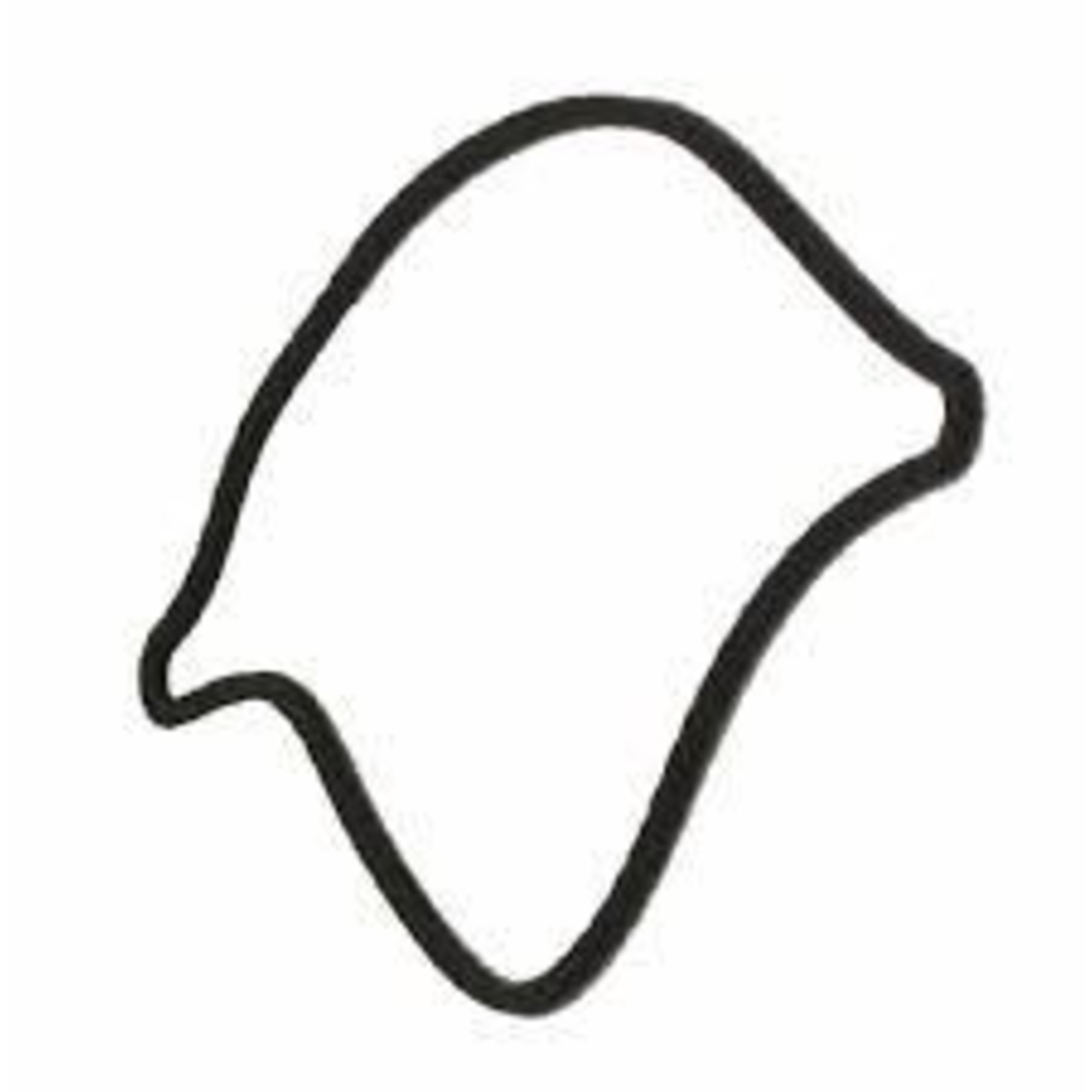 Sanitaire Sanitaire & Eureka Upr Motor & Fan Gasket