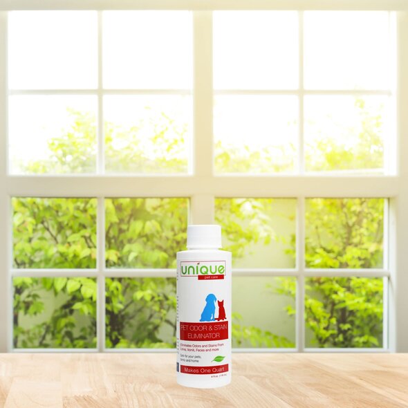 Unique Manufacturing Unique Pet Odor & Stain Eliminator - Concentrate (4oz)