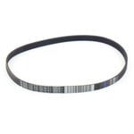 Riccar Riccar Vibrance Lifetime Serpentine Vacuum Belt - Old Body