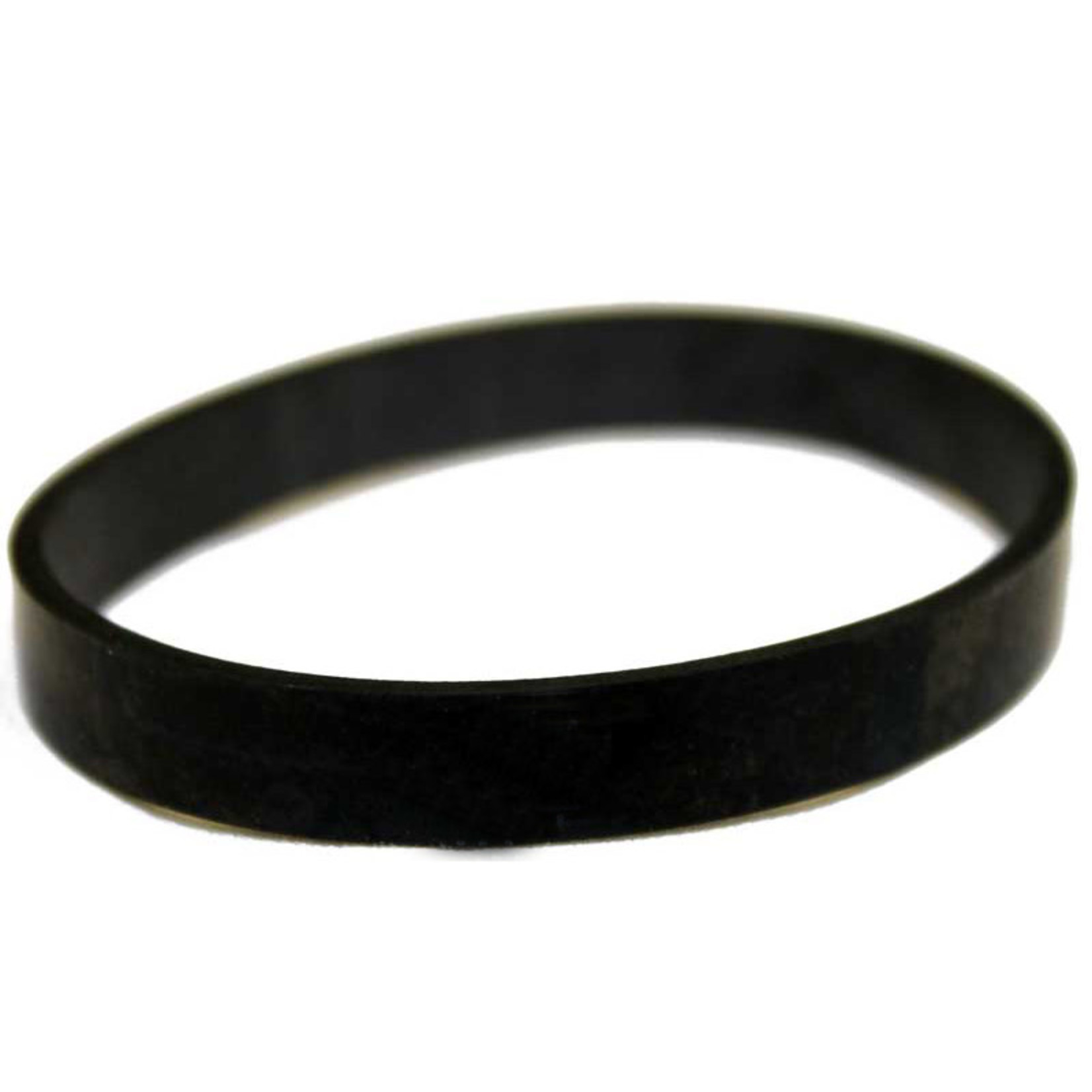 Bissell Bissell 1698 & 1699 ProHeat Pump Belt