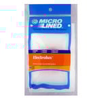 DVC Electrolux Le, Hi-Tech, & 2100 AP Canister Vacuum Filter - 2-Pack