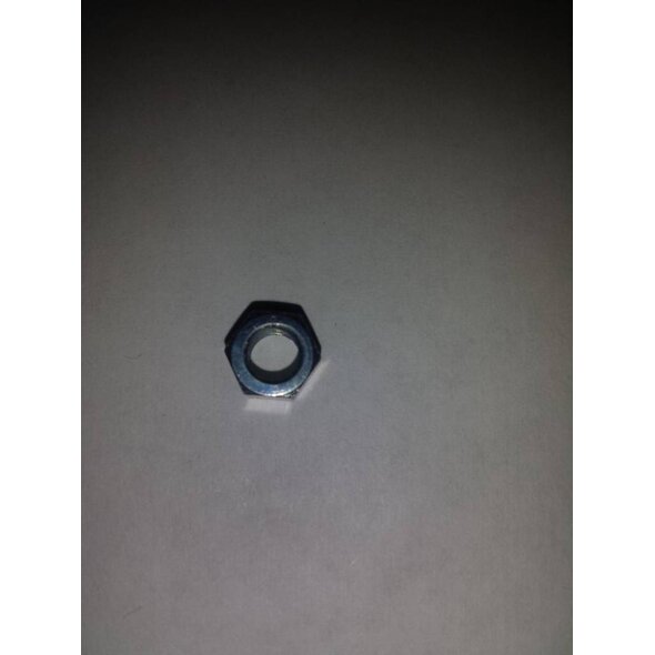 Lindhaus Lindhaus N/S Nut for Motor - Nut