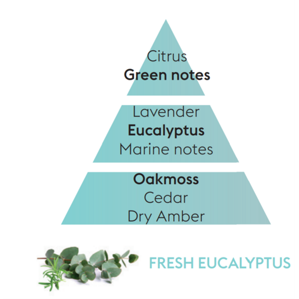 Maison Berger Maison Berger Refill of Fresh Eucalyptus - 500ml